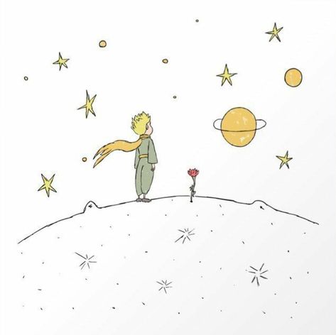 The Little Prince Illustration, Little Prince Tattoo, Prince Poster, Little Prince Quotes, Prince Tattoos, Prince Art, Superhero Wallpaper, Little Prince, The Little Prince