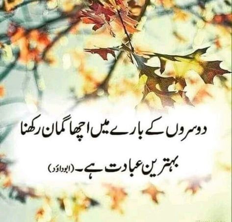 Islamic Whatsapp Dp, Urdu Quotes Islamic, Hazrat Ali Sayings, Sufi Quotes, Urdu Love Words, Sufi Poetry, Islamic Knowledge, Poetry Quotes In Urdu, Hadith Quotes