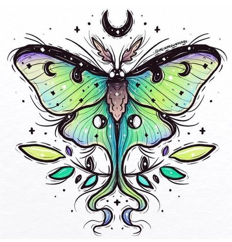 Moth Drawings, Lunar Moth Tattoo, Luna Moth Tattoo, Moth Drawing, Moth Tattoo Design, Cute Moth, Lunar Moth, Arte Doodle, Moon Moth