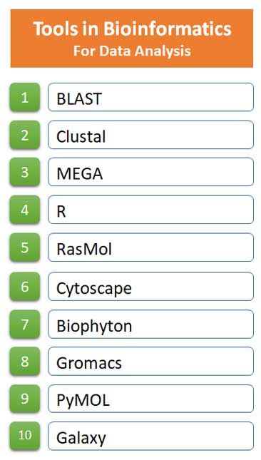 | EasyBiologyClass Computational Biology, Coding Lessons, Study Biology, Data Visualization Tools, Mass Spectrometry, Gene Expression, Statistical Analysis, Molecular Biology, Science Biology