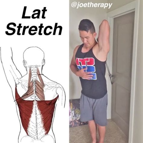 2,269 Likes, 26 Comments - Joe Yoon, LMT (@joetherapy) on Instagram: “Latissimus Dorsi Stretch! - 🙆🏼 This stretch also stretches a lot more than just the lats. It also…” Massage Stretches, Vmo Exercises, Solomons Temple, Restorative Yoga Poses, Latissimus Dorsi, Yoga Therapy, Senior Fitness, Yoga Stretches, Gymnast