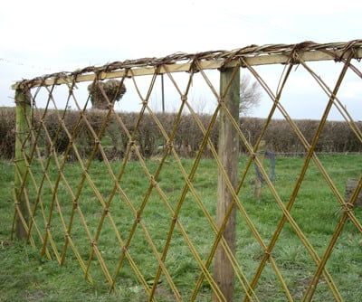 A living willow fence is a beautiful way to create boundaries around outdoor areas, read more to find out how to create one. Living Willow Fence, Manor House Interior, Willow Fence, Living Willow, Country Garden Decor, Red Living, Willow Weaving, Fencing & Gates, Cafe Interior Design