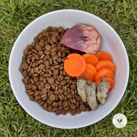 Learn how to select ideal raw ingredients to add into a processed dry dog food diet to increase moistureadd fresh proteinimprove fats Dry Dog Food Add Ins, Raw Dog Food Topper, Loki Recipe, Dog Meal Ideas, Dog Raw Food Diet, Dog Food Add Ins, Dogs Bowls, Dog Food Toppers, Raw Feeding For Dogs