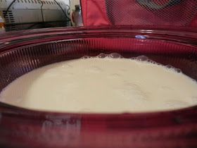 The Hippie Inside: Breast Milk Yogurt Breastmilk Uses, Baby Lunch, Milk And Cheese, Homemade Yogurt, Yogurt Recipes, Milk Recipes, Toddler Meals, Breast Milk, Cheese Recipes