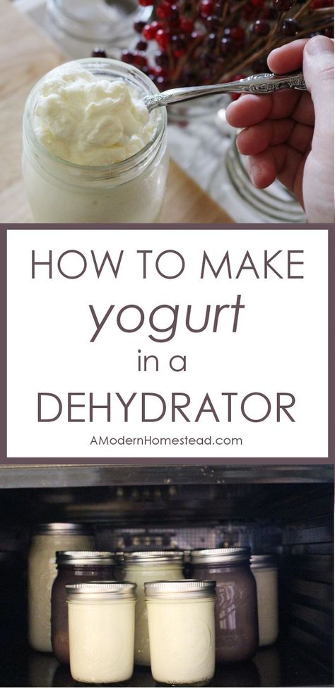 With all the yogurt making methods out there, making it in a dehydrator is by far the easiest! Find out exactly how to make yogurt in a dehydrator with these simple steps. Homemade Yogurt Recipes, Dehydrating Food, Dehydrated Foods, Dry Herbs, Veggie Chips, Sweet Potato Chips, Homemade Yogurt, Dehydrated Food, Yogurt Recipes