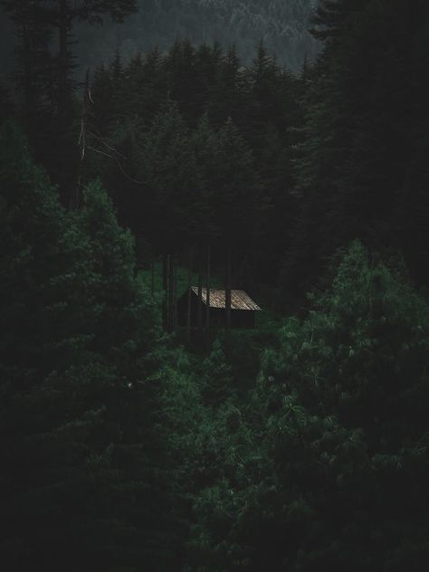 Secluded Cabin Aesthetic, Cabin In The Woods Aesthetic Dark, Fortnite Aesthetic, Aesthetic Cabin, Werewolf Oc, Cabin In The Forest, Lodge Aesthetic, Dark Naturalism, Dark Forest Aesthetic