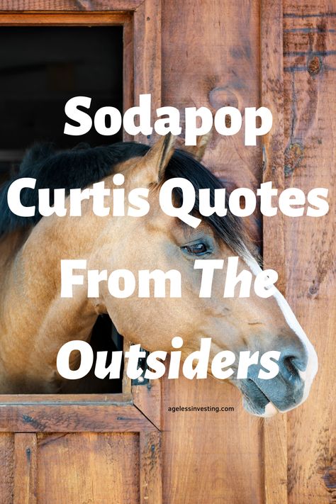 A picture of the side of the face of a buckskin horse's head, with the text overlay:"Sodapop Curtis Quotes From The Outsiders" Quotes From The Outsiders Book, The Outsiders Quotes Book, Quotes From The Outsiders, The Outsiders Book, Curtis Brothers, Outsiders Aesthetic, Outsiders Book, The Outsiders Sodapop, The Outsiders Quotes