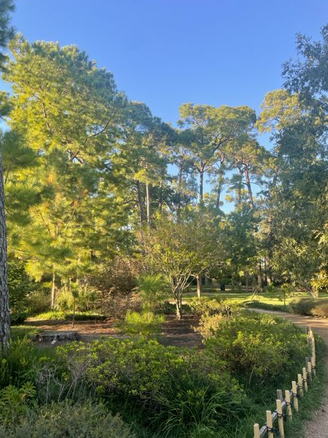 The Japanese Garden at Hermann Park in Houston, TX in 2023 Houston Parks, Hermann Park, 2024 Vision, Japanese Garden, Houston Tx, Houston, Vision Board, Quick Saves, Nature