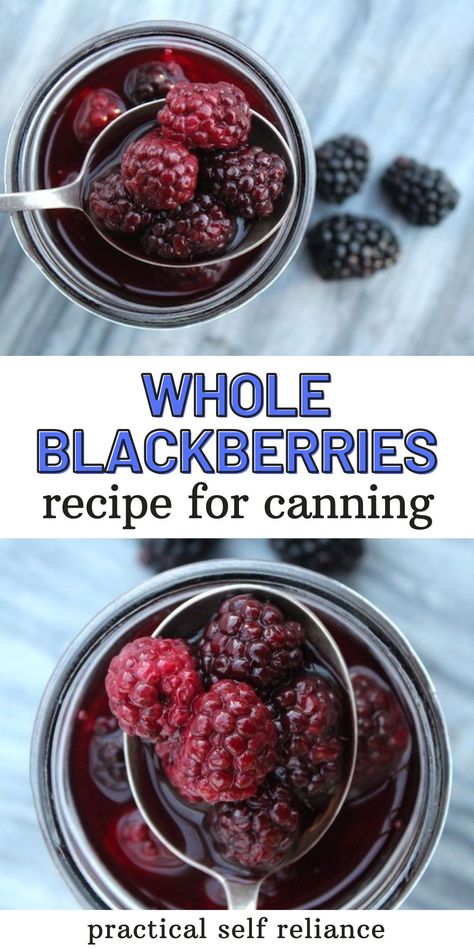 Canning Blackberries Whole: Canning Fruit Recipes - If you're looking for canning recipes for blackberries, you've found the right one. Perfect for your next batch of blackberry jam or blackberry muffins, canned blackberries keep a firm texture and taste like fresh blackberries after months in the pantry. how to can blackberries | how to can whole blackberries Canned Blackberries, Chili Canning Recipe, Canning Syrup, Canning Blackberries, Canning Fruit Recipes, Preserving Fruit, Blackberry Muffins, Preserving Vegetables, Pressure Canning Recipes