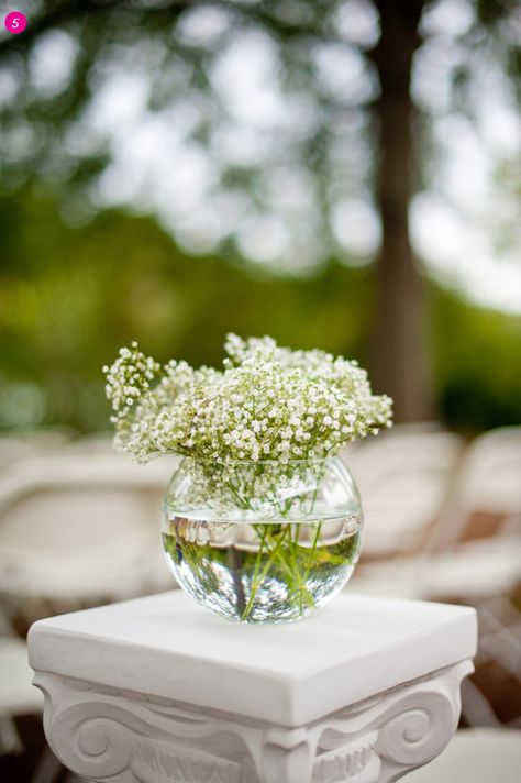 centerpiece option Fishbowl Centerpiece, Fall Wedding Ceremony Decorations, Baby's Breath Wedding Flowers, Baby's Breath Wedding, Dream Marriage, Blue Centerpieces, Fall Wedding Diy, Wedding Diary, Wedding Help