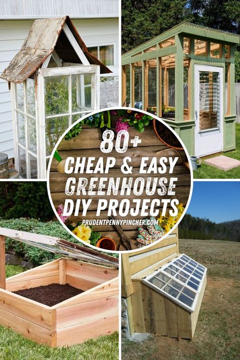 Extend your growing season with these cheap and easy DIY Greenhouse ideas. There are full tutorials and plans for cold frames, a-frames, lean-to's, miniature greenhouses, and much more. Many of these greenhouses use cheap building materials like pallets and repurposed materials like windows or doors. There are different size greenhouse projects to choose from, so whether you have tons of space or are looking for small greenhouse ideas, there are plenty of backyard greenhouse ideas for everyone. Easy Diy Greenhouse, Greenhouse Projects, Simple Greenhouse, Greenhouse Diy, Window Greenhouse, Miniature Greenhouse, Cold Frames, Diy Greenhouse Plans, Diy Wood Pallet Projects