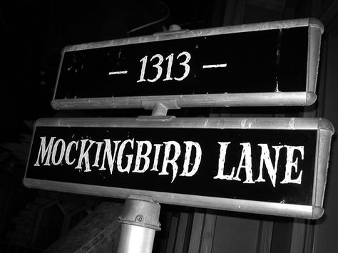 1313 mockingbird lane #munsters 1313 Mockingbird Lane, Vinyl Records Wall, Records Wall, Mocking Birds, Zombie Vampire, The Munsters, Vampires And Werewolves, Highway Signs, Vinyl Records