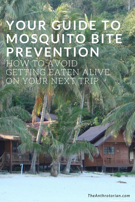 How to prevent mosquito bites when travelling, avoid mosquito bites, travel tips, travel diseases, travel safety, adventure travel tips, do i need to worry about mosquitos, tips for humid climates Prevent Mosquito Bites, Eaten Alive, Mosquito Bites, Solo Travel Tips, Mosquito Bite, Travel Safety, The Hard Way, Packing Tips, Solo Travel