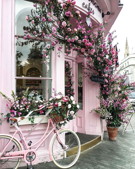 Peggy Porschen Cakes, Pink Bicycle, Flowers Growing, Pink Bike, Everything Pink, Wisteria, Love Flowers, Flower Shop, Pretty Flowers