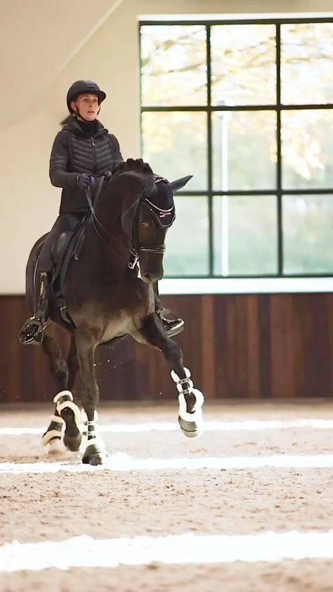 kentucky Dressage Aesthetic, Beautiful Horses Wild, Dressage Videos, Horse Riding Videos, Ugly Dogs, Equestrian Aesthetic, Horse Riding Equestrian, Horse Videos, Most Beautiful Horses