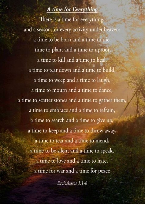 A Time To Kill, A Time For Everything, Time To Heal, Ecclesiastes 3, Favorite Bible Verses, Verse Quotes, Christian Inspiration, Bible Verses Quotes, Words Of Encouragement