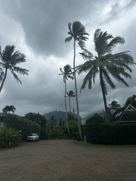 Gloomy beach aesthetic grey clouds palm tree cloudy rainy island life travel Stormy Sky Aesthetic, Gloomy Beach Aesthetic, Gloomy Beach, Aesthetic Grey, Grey Clouds, Cloudy Sky, Cloudy Day, Beach Aesthetic, Island Life