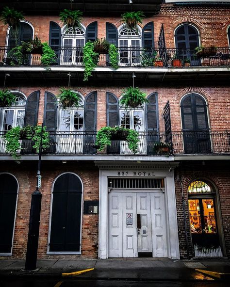 Image may contain: plant, tree, night, house and outdoor Mikaelson Compound, Night House, New Orleans Architecture, French Quarter New Orleans, The Big Easy, Plant Tree, I Would Rather, Big Easy, French Quarter