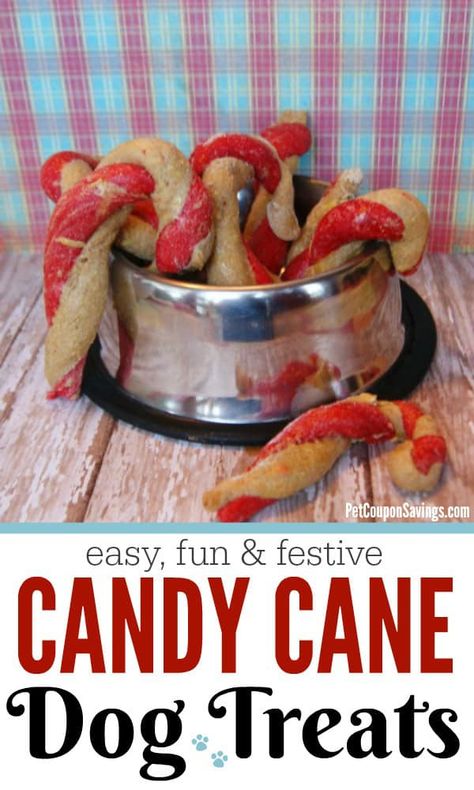 These easy Candy Cane Dog Treats are sure to become your dogs favorite homemade treat this Christmas! #dogs #dogtreats #Christmas #dogtreatscandycane Dog Cookie Recipes, Homemade Dog Cookies, Christmas Dog Treats, Treats Christmas, Dog Biscuit Recipes, Doggie Treats, Homemade Candy, Dog Treats Homemade Recipes, Diy Dog Treats