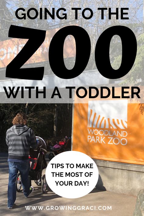 Zoo Must Haves, Zoo Trip Must Haves, Trips With Toddlers, Surgery Care Package, Zoo Trip, Zoo Lights, Zoo Babies, Family Outings, Baby Advice