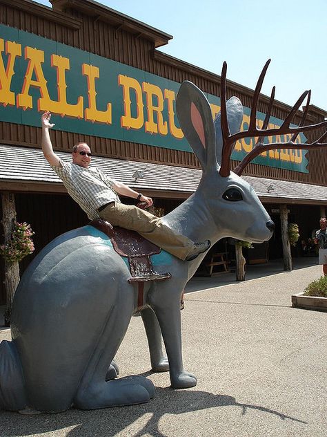 He almost bucked me right off! Wall Drug Jackalope (Wall, South Dakota) South Dakota Vacation, South Dakota Travel, Giant Dinosaur, Radio Flyer Wagons, Blue Earth, Tourist Trap, Roadside Attractions, South Dakota, Historical Sites