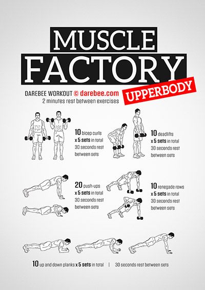 workouts Upper Body Dumbbell, Dumbbell Workouts, Workout Man, Dumbell Workout, Muscle Building Workouts, Weight Training Workouts, Body Workout Plan, Workout Chart, Dumbbell Workout