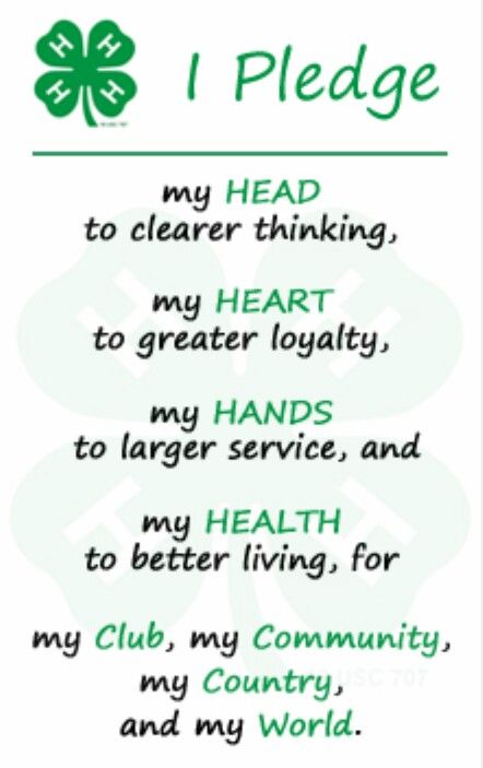 4-H pledge 4-h Poster Ideas, County Fair Projects, 4h Fair, 4 H Clover, Livestock Showing, Stall Decorations, Ag Education, 4 H Club, Meeting Activities