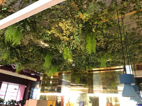 Fake Plant Ceiling Decor, Ceiling Covered In Plants, Faux Greenery Ceiling, Faux Plant Ceiling, Hanging Plant Ceiling, Fake Plant Ceiling, Fake Vines On Ceiling, Plant Ceiling Decor, Foliage Ceiling