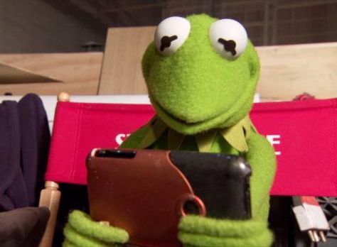 (1) #JimHenson hashtag on Twitter Kermit Meme, Kermit Funny, Fraggle Rock, Kermit The Frog, Jim Henson, The Frog, Look At You, Bones Funny, New Memes