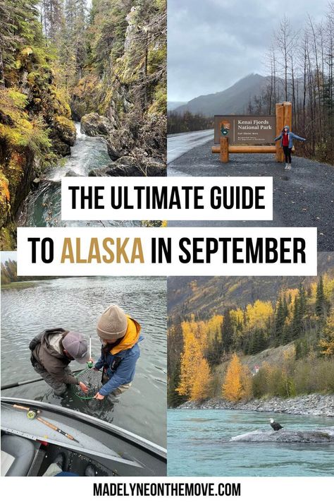 Alaska In September, Alaskan Cruises, Retirement Goals, Alaska Road Trip, Kenai Fjords National Park, Visit Alaska, Usa Destinations, Alaska Vacation, Alaskan Cruise