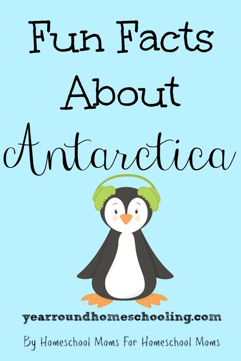 Fun Facts About Antarctica - http://www.yearroundhomeschooling.com/fun-facts-antarctica/ Antarctica Activities, Antarctica Travel, Homeschool Geography, Polar Animals, World Geography, Facts For Kids, Arctic Animals, Study Unit, First Grade