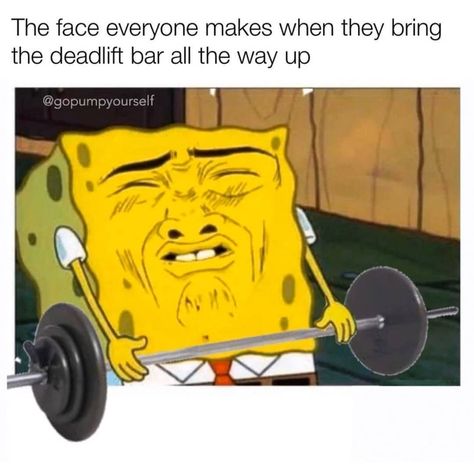 Lifting Memes, Bodybuilding Memes, Workout Memes, Gym Memes, Memes Funny, Weight Lifting, Funny Memes, Gym, Memes