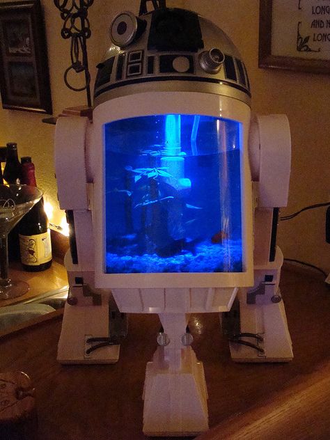 R2D2 Fish Tank | por John Petrick Star Wars Zimmer, Cool Fish Tanks, Star Wars Room, Mega Pokemon, Diy Aquarium, Cool Fish, The Force Is Strong, Aquascaping, Aquariums