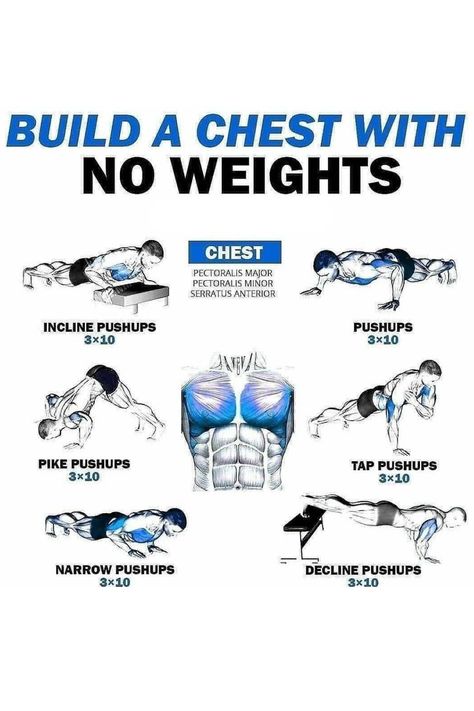 Arm Muscles Workout, Mens Full Body Workout, Chest And Arm Workout, Arm Workout Men, Chest Workout At Home, Chest Workout For Men, Chest Workout Routine, Home Workout Men, Gym Workout Guide