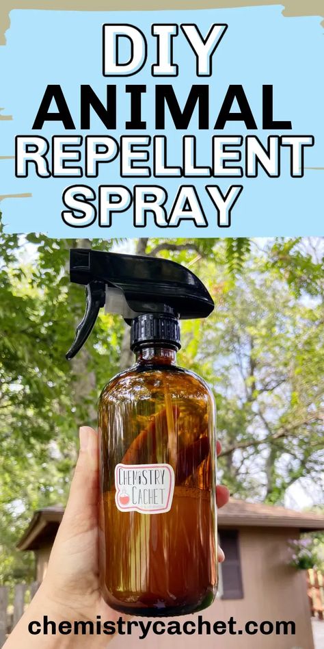 If you want to deter rabbit, deer, and other animals from your garden or flower bed, try this DIY natural, organic animal repellent spray recipe. We share the science behind how it works too! Homemade Deer Repellant, Rabbit Deterrent, Dog Deterrent Spray, Dog Repellent Spray, Dog Deterrent, Rabbit Repellent, Deer Deterent, Deer Resistant Garden, Deer Repellant