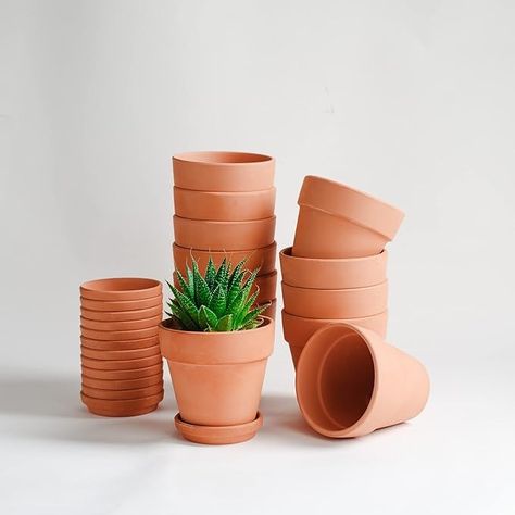 Amazon.com: HERDUK Terracotta Pots 4 inch, Pack of 12 Clay Pots for Plants, Small Terracotta Pots with Drainage Holes and Saucers, Mini Nursery Plant Pots for Succulents, Cactus, Indoor,Outdoor : Patio, Lawn & Garden Clay Pots For Plants, Pots For Succulents, Mini Nursery, Cactus Indoor, Nursery Plant, Small Terracotta Pots, Indoor Outdoor Patio, Pots For Plants, Succulents Cactus