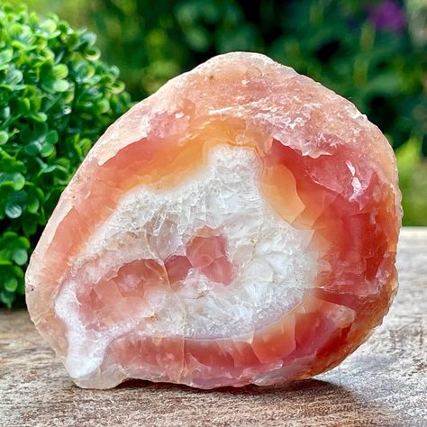 Laguna Agate Slice with Stunning Pink Color and Quartz, High Quality AAA Grade Collectors Edition Rare México agate, #51 Laguna Agate, Gemstone List, Fancy Lights, Agate Slice, Crystal Collection, Color Correction, The Collector, Mother Nature, Stones And Crystals