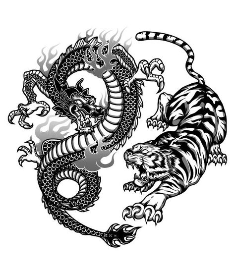 Dragon Tiger Tattoo, Dragon Tattoo Images, Tigre Y Dragon, Tato Mandala, Tato Tradisional, Japanese Tiger Tattoo, Dragons Tattoo, Tato Dada, Tato Naga