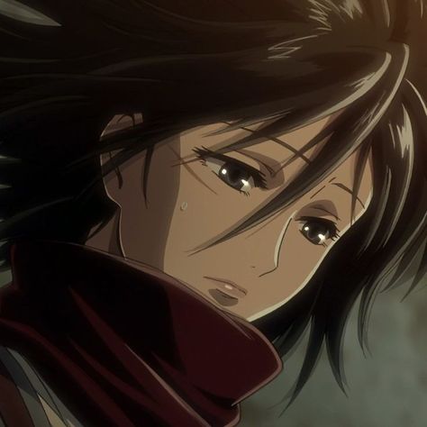 Sara Core, Mikasa Icon, Mikasa Anime, Aot Wallpaper, Attack On Titan Aesthetic, Eren X Mikasa, Attack On Titan Season, Eren And Mikasa, Mikasa Ackerman