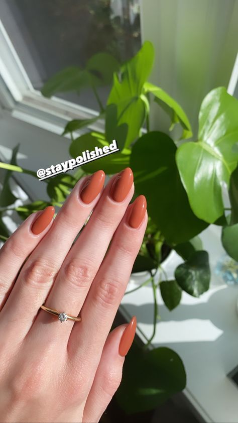 Nail Inspo Autumn 2022, Fall Nails 2022 Burnt Orange, Fall Nail Colors 2023 Orange, Nail Inspo Solid Color Fall, Almond Nails Burnt Orange, Autumn Nails Solid Colors, Fall Nails Rusty Orange, Pink Nails Powder Dip, Classy Boss Lady Nails