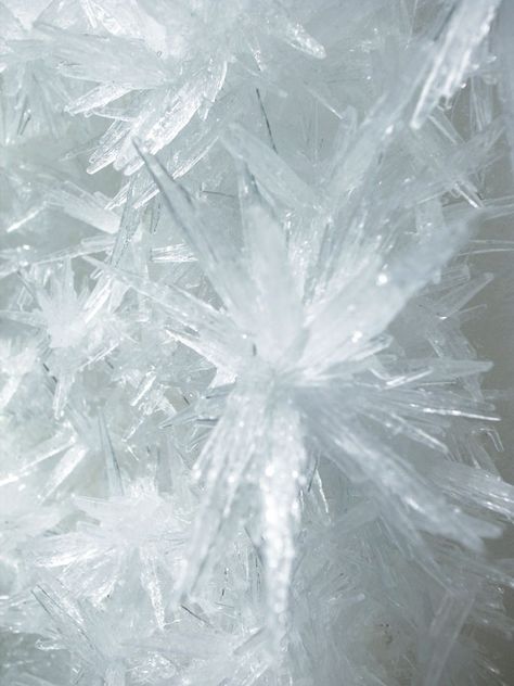 Tokujin Yoshioka, Swan Lake 2013 (Crystallized painting - detail).photo © MOT / Museum of Contemporary Art Tokyo. Solas Dragon Age, Tokujin Yoshioka, Toshiro Hitsugaya, Killer Frost, Yennefer Of Vengerberg, Wally West, Art Appliqué, Emma Frost, Ice Crystals