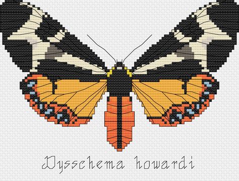 Instant download of PDF patterns for Dysschema howardi cross stitch pattern Cross stitch pattern of dorsal view of the moth species Dysschema howardi 96 x 70 stitches, including space needed for lettering -Uses backstitching 10 DMC colors Includes 2 PDFs -Black and white symbol chart -Color symbol chart -DMC color legend included on both charts For personal use only Pattern download only, no physical product will be mailed. Due to the digital nature of this product, no refunds will be issued after purchase ©VincentVanSew Moth Cross Stitch, White Peacocks, Moth Species, Butterfly Cross Stitch Pattern, Gardens Flowers, Flowers Tropical, The Moth, Pattern Cross Stitch, Butterfly Cross Stitch