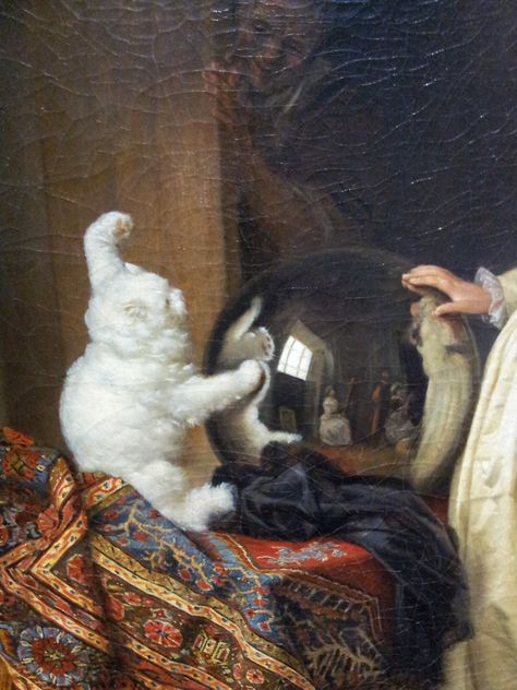 Just like Alice in Wonderland Cats In Art History Paintings, Angora Cat, Jean Honore Fragonard, Angora Cats, Gazing Ball, Art Ancien, Arte Inspo, Old Paintings, Historical Art