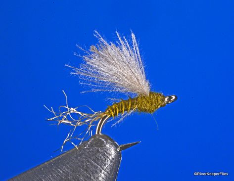 BWO CDC & Biot | www.johnkreft.com Types Of Wings, Blue Winged Olive, Duck Float, Caddis Flies, Fly Fishing Flies Pattern, Fly Fishing Tips, Mayfly, Fly Patterns, Fly Tying Patterns