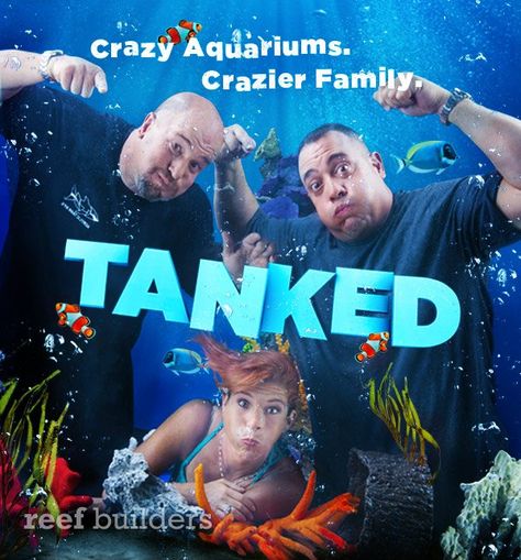 Tanked Custom Aquarium, Jacques Yves Cousteau, Amazing Aquariums, Cool Fish Tanks, Saltwater Fish Tanks, Tanked Aquariums, Saltwater Aquarium, Animal Planet, Aquariums