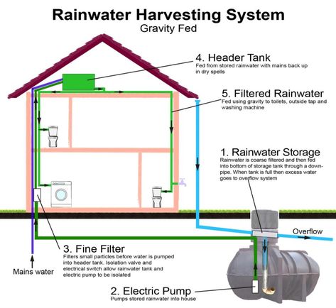 In recent years there has been greater interest in rainwater capture or rainwater harvesting systems. A rainwater capture system collects rainwater falling on your roof, filters it and diverts it into a rainwater storage tank and then pumps it around the house for use in flushing toilets, supplying outside taps or in some cases washing … Rain Water Collection Diy, Rain Water Harvesting, Water Harvesting, Water From Air, Rainwater Harvesting System, Rain Water Tank, Water Storage Tanks, System Design, Water Collection