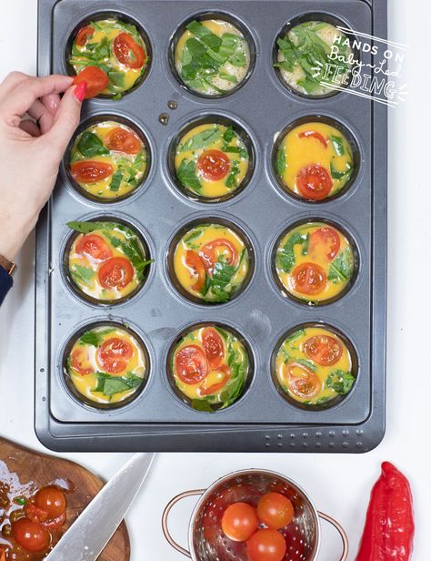 Baby Led Weaning Egg Muffins - Baby Led Feeding Bell Pepper Recipes Blw, Blw Breakfast, Muffins For Baby, Muffins Baby, Soft Eggs, Blw Ideas, Easy Egg Breakfast, Blw Recipes, Breakfast Egg Muffins