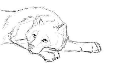 Wolf Laying Down Drawing Reference, Dog Laying Down Drawing Reference, Dog Laying Down Tattoo, Wolf Laying Down Drawing, Wolf Laying Down, Dog Laying Down Drawing, Cool Wolf Drawings, Cartoon Wolf Drawing, Wolf Sketches