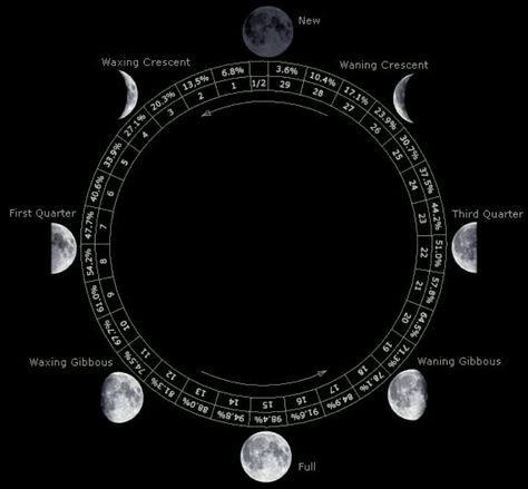 The Eclectic Wytch History of Lunar Calendars  There are three types of calendars: solar, lunar, and luni-solar. Calendars are used to establish dates, both secular and religious. They help to mark the times of the Solstices, Equinoxes, eclipses of Sun and Moon, etc. They are a way of dividing the seasonal year. The most ancient calendars were lunar, those based on the Moon.  The solar calendar which most of the world now uses is a rather modern innovation, when compared to the length of tim... Luni Solar Calendar, Ancient Calendar, Solar Calendar, Solar Lunar, Backpiece Tattoo, The Phases Of The Moon, Chinese Calendar, Moon Images, Lunar Year