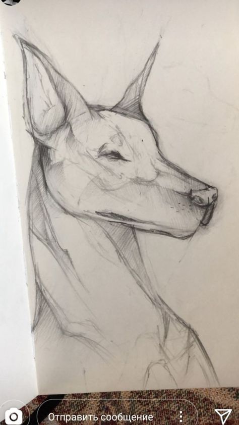 Drawing Ideas On Big Paper, Animal Drawings Sketches, Art Tools Drawing, My Sketchbook, Arte Sketchbook, Arte Inspo, Art Drawings Sketches Creative, Arte Animal, Art Inspiration Painting